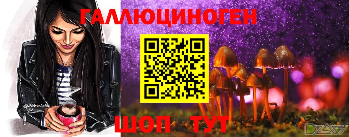 Галлюциногенные грибы мухоморы  Вход с VPN  Мурманск 