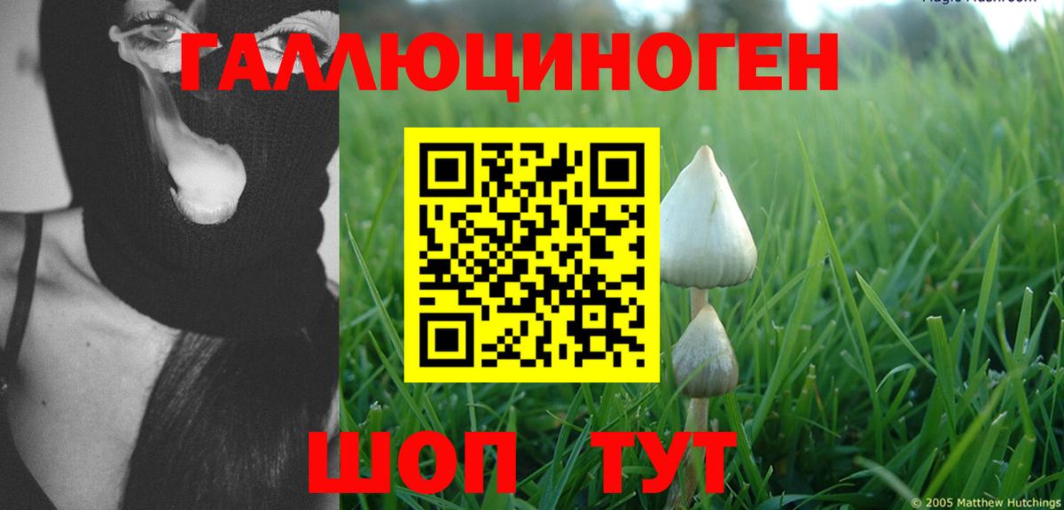 Галлюциногенные грибы MAGIC MUSHROOMS Мурманск